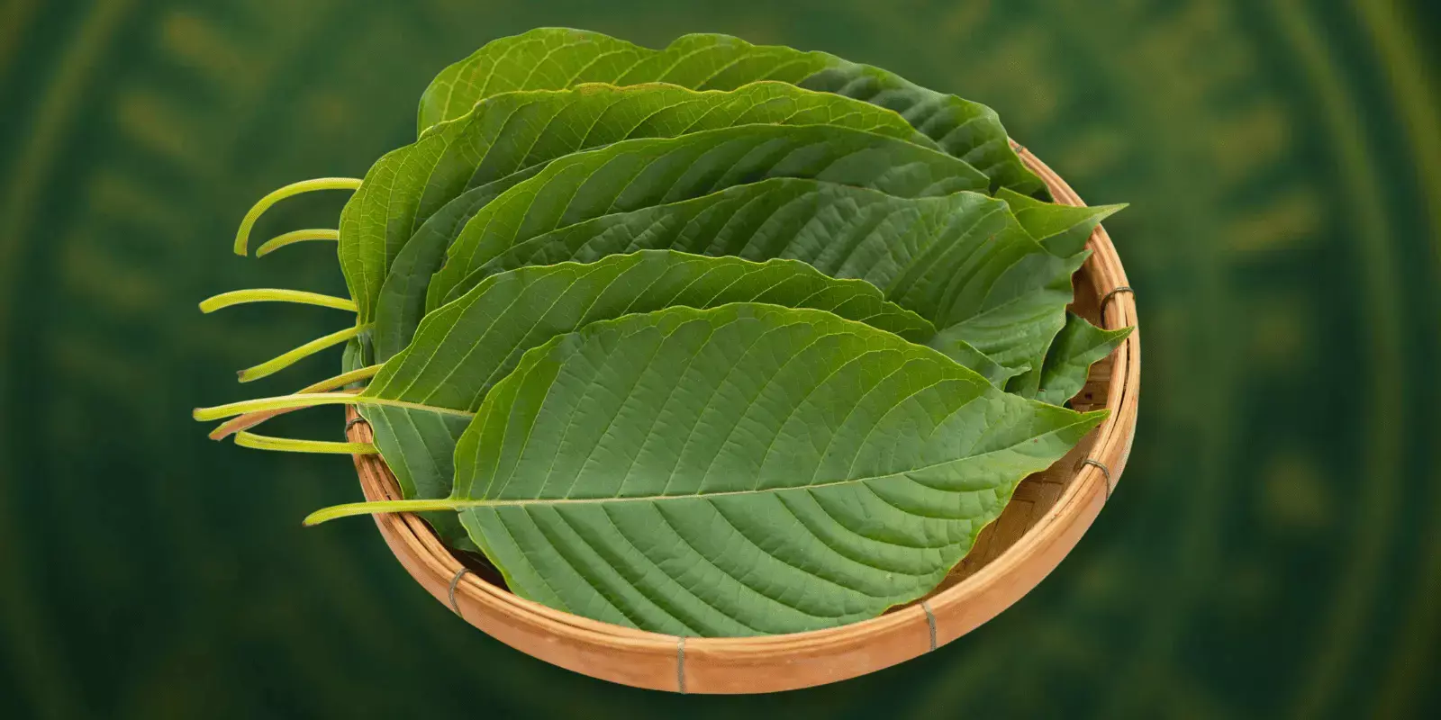 FDA and Kratom: Where Do Things Stand Today?